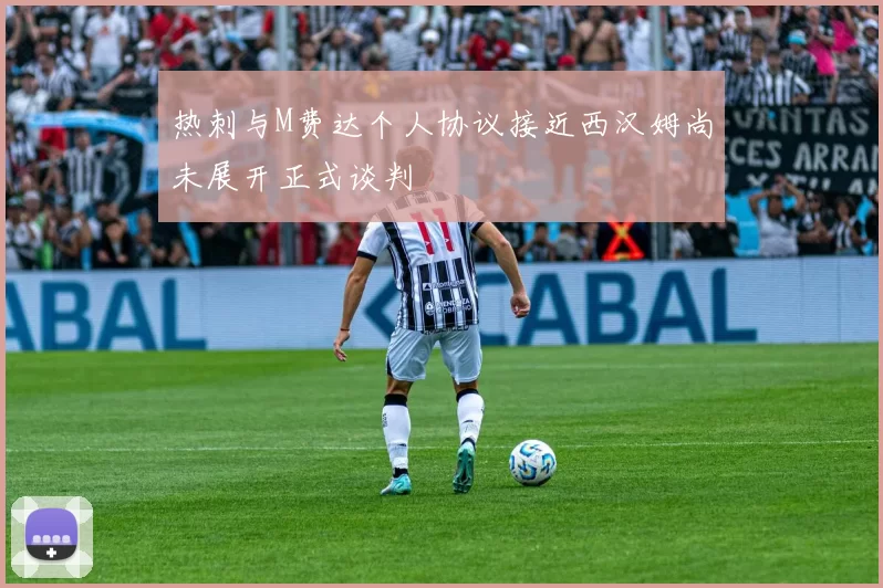 热刺与M费达个人协议接近西汉姆尚未展开正式谈判