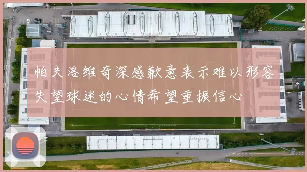 帕夫洛维奇深感歉意表示难以形容失望球迷的心情希望重振信心