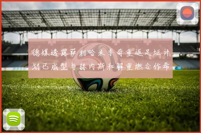 德媒透露萨利哈米季奇重返足坛计划已成型与赫内斯和解重燃合作希望
